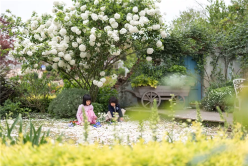 中國最時尚的未來花世界，帶你一探究竟！