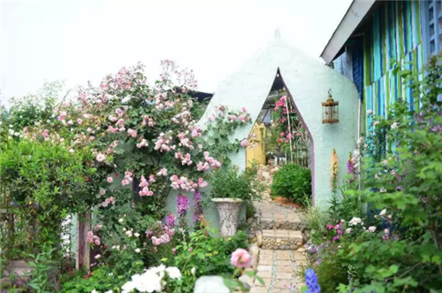 中國最時尚的未來花世界，帶你一探究竟！