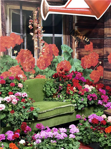 中國最時尚的未來花世界，帶你一探究竟！