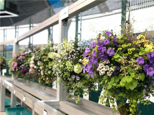 中國最時尚的未來花世界，帶你一探究竟！