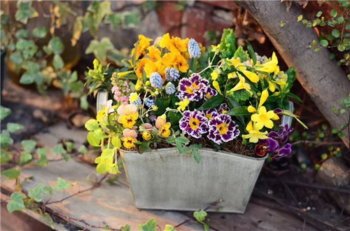 中國最時尚的未來花世界，帶你一探究竟！