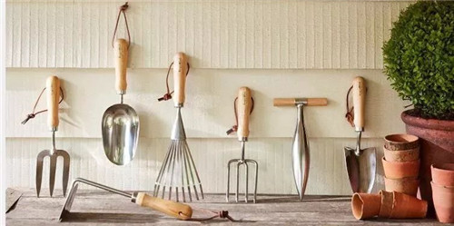 中國最時尚的未來花世界，帶你一探究竟！