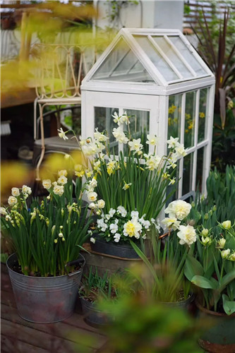 中國最時尚的未來花世界，帶你一探究竟！