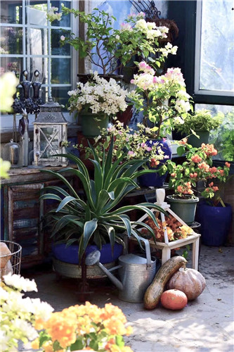 中國最時尚的未來花世界，帶你一探究竟！