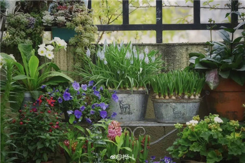 中國最時尚的未來花世界，帶你一探究竟！