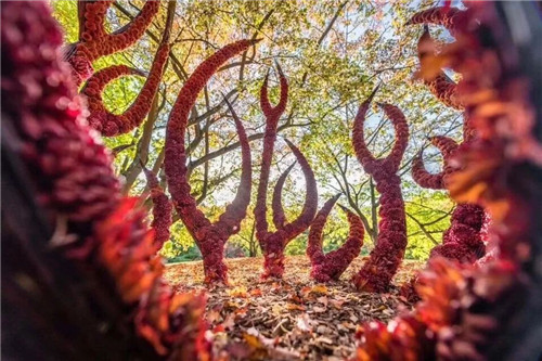 中國最時尚的未來花世界，帶你一探究竟！