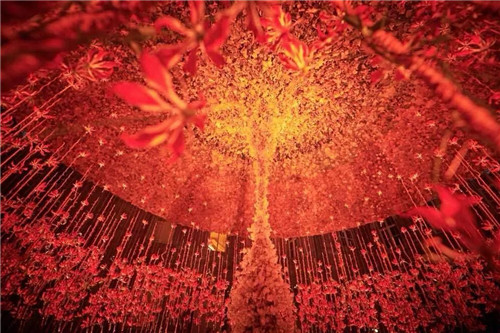 中國最時尚的未來花世界，帶你一探究竟！