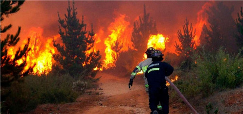 “完美火災(zāi)”-景觀遺產(chǎn)的緊急情況處理和重建城市過程