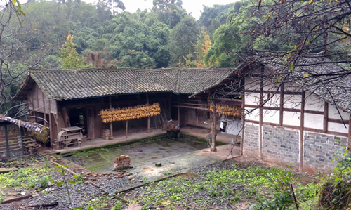 李沄璋:鄉村振興背景下對川西林盤保護與更新的思考