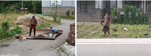 李沄璋:鄉村振興背景下對川西林盤保護與更新的思考