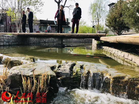 北京：街區(qū)更新　胡同里的“春天”藏不住