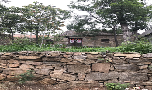 郗金標:養生小院——農村全面振興的模式探索