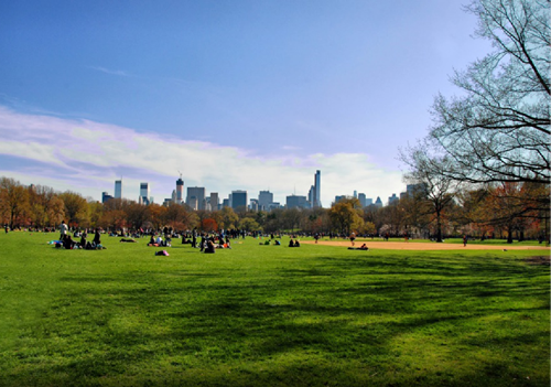 王竹君:自帶IQ的景觀