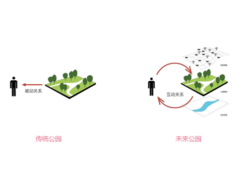 王竹君:自帶IQ的景觀