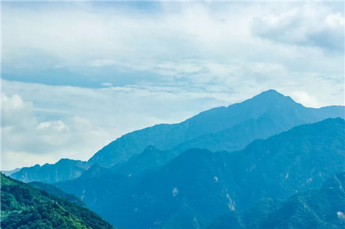 超低造價的生態景觀 | 秦嶺國家植物園人工濕地