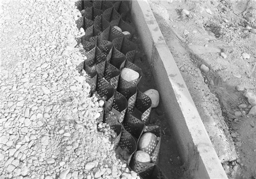 超低造價的生態景觀 | 秦嶺國家植物園人工濕地