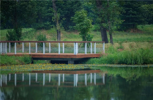 超低造價的生態景觀 | 秦嶺國家植物園人工濕地