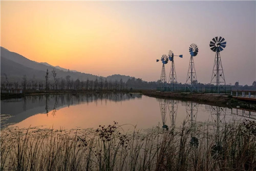 超低造價的生態景觀 | 秦嶺國家植物園人工濕地