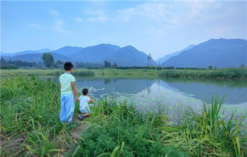 超低造價的生態景觀 | 秦嶺國家植物園人工濕地