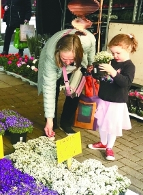 英國:用園藝改變生活