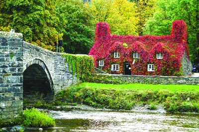 英國:用園藝改變生活