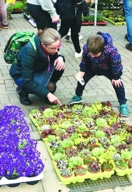 英國:用園藝改變生活