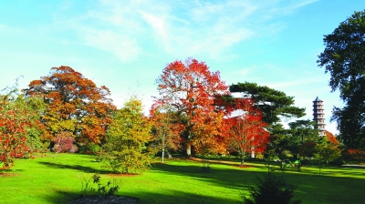 英國:用園藝改變生活