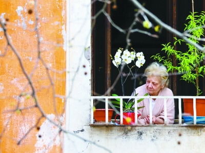 意大利園藝產業高速發展的秘訣