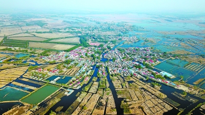 從革命老區到雄安新區 白洋淀迎來新生