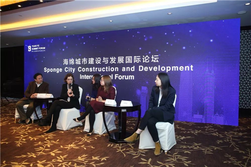 人水和諧水城相融，中外專家交流海綿城市建設發展經驗