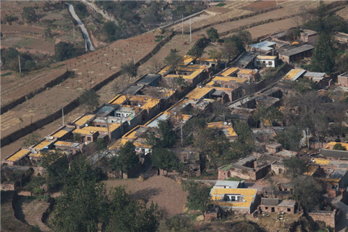 黃大莊:鄉村振興戰略背景下景觀建設及植物應用思考