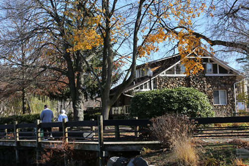 黃大莊:鄉村振興戰略背景下景觀建設及植物應用思考