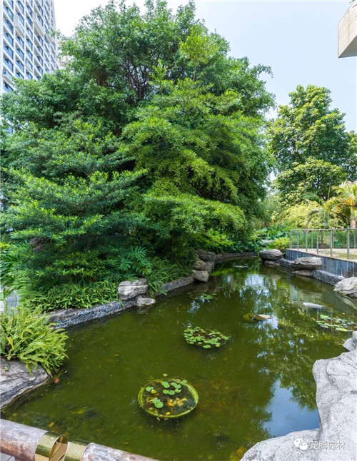 日觀山水,夜賞流螢|廣西北海北部灣1號