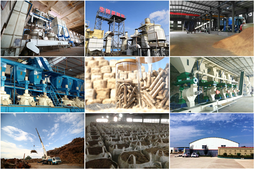 中國生物質顆粒大會為行業帶來了什么?