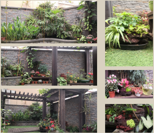 陳俊霄:大象無形 隱于山水間 格物致知 泰心以證道