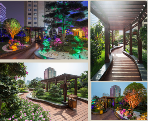 陳俊霄:大象無形 隱于山水間 格物致知 泰心以證道