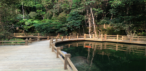 陳俊霄:大象無形 隱于山水間 格物致知 泰心以證道