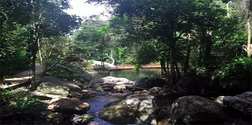 陳俊霄:大象無形 隱于山水間 格物致知 泰心以證道