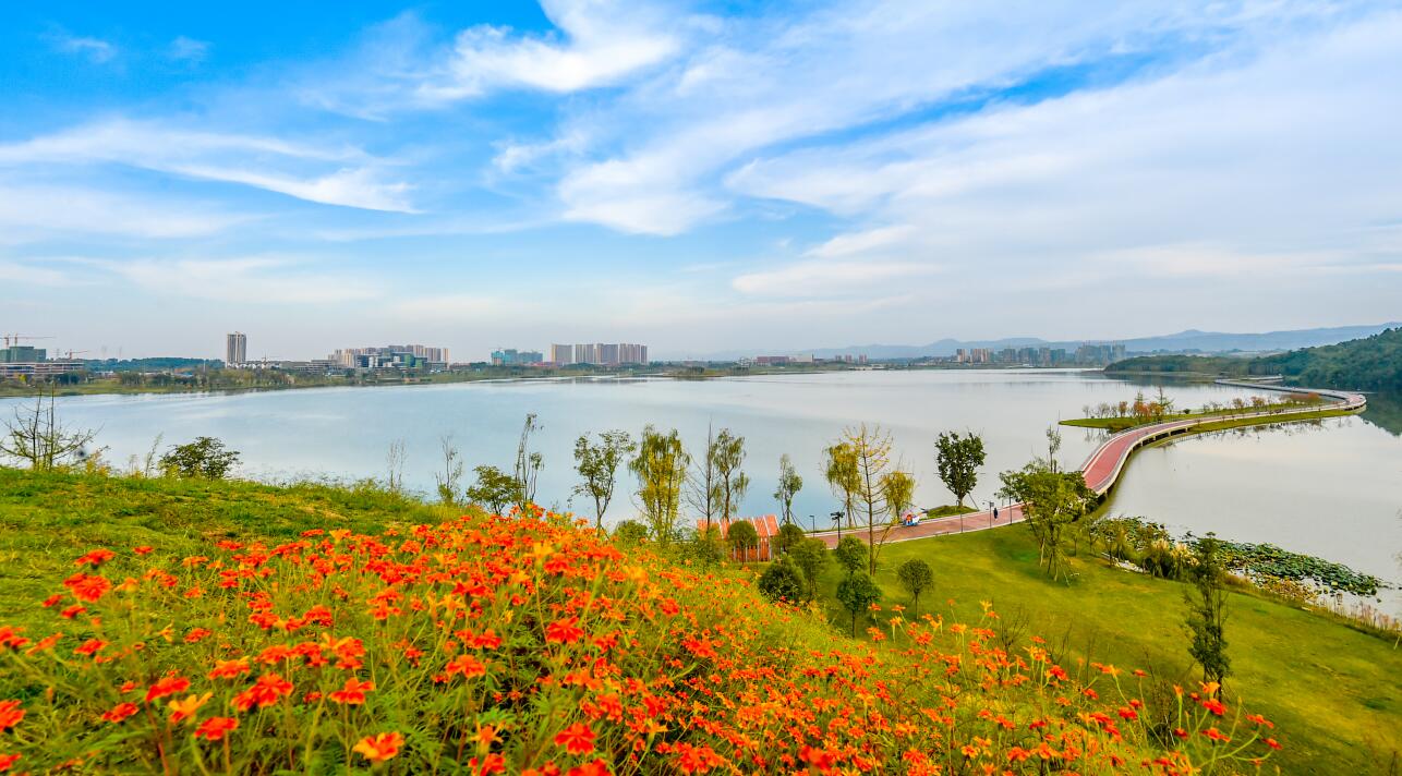 建設公園城市有何意義？賀克斌院士這樣說