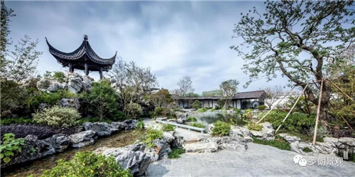 方寸之間,自有天地 | 南京建發(fā)?央譽(yù)