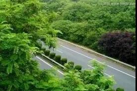 綠色通道綠地的設(shè)計與維護