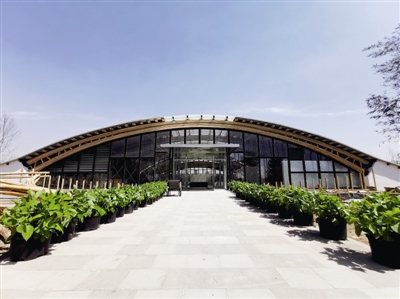 竹之眼 科學與藝術完美融合