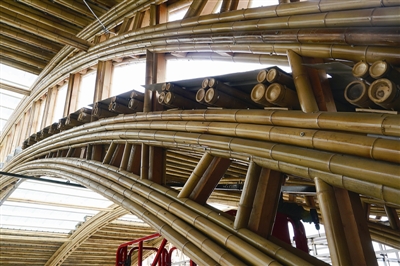 竹之眼 科學與藝術完美融合