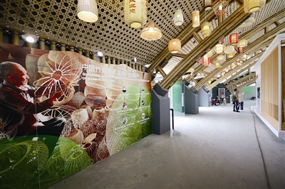 竹之眼 科學與藝術完美融合