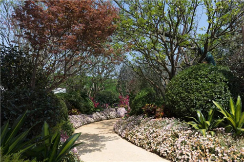 尋夢江淮 | 合肥龍湖景粼玖序