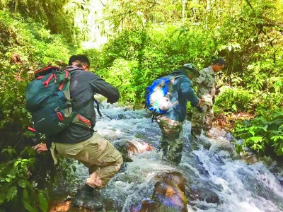 改變世界的中國植物