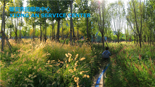 郭雋菡:藍綠宜居空間規劃與適應性海綿城市設計思考