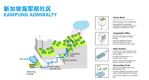 郭雋菡:藍綠宜居空間規劃與適應性海綿城市設計思考