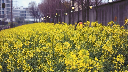 共治的景觀,讓社區更美好