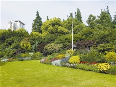 花境,園林景觀的“珍珠”